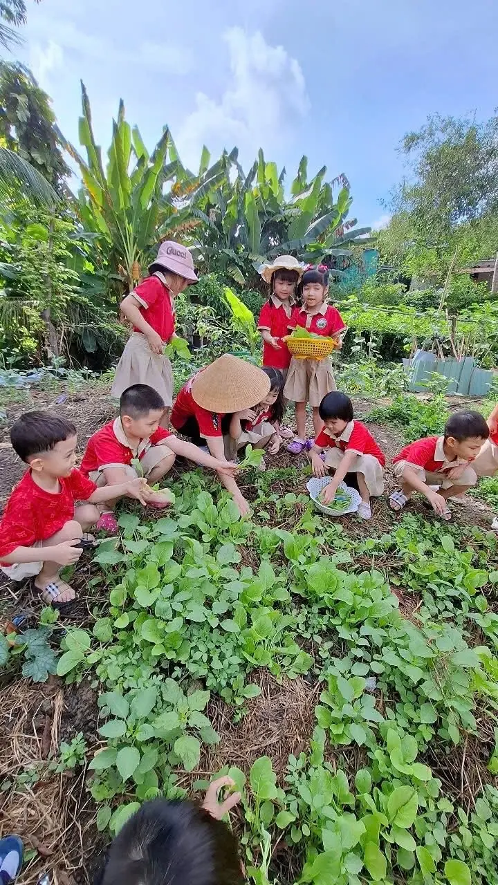 Mầm Non Hải Long